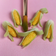 miniature-food 38 list